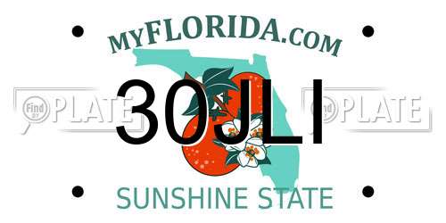 30JLI Florida License Plate