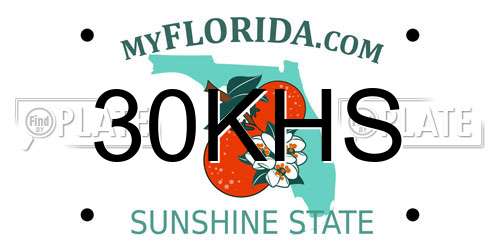 30KHS Florida License Plate