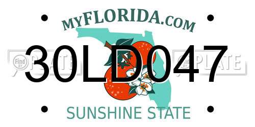 30LD047 Florida License Plate
