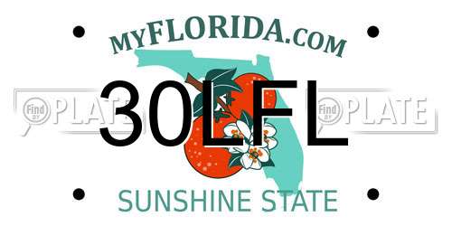 30LFL Florida License Plate