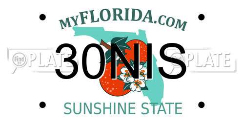 30NIS Florida License Plate