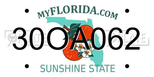 30OA062 Florida License Plate