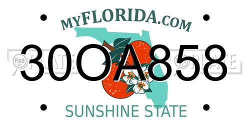 30OA858 Florida License Plate