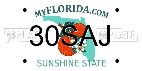 30SAJ Florida License Plate