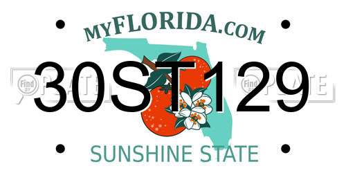 30ST129 Florida License Plate