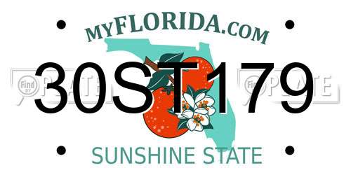 30ST179 Florida License Plate
