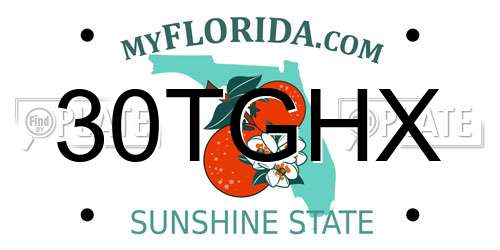 30TGHX Florida License Plate