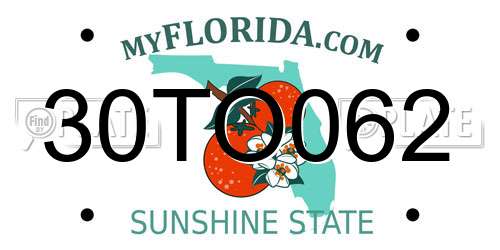 30TO062 Florida License Plate