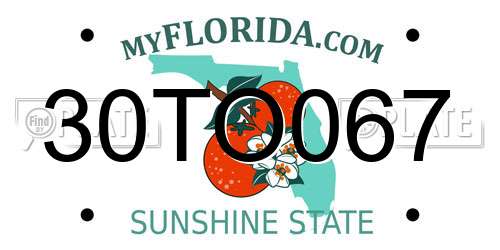 30TO067 Florida License Plate