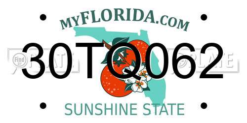 30TQ062 Florida License Plate