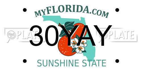 30YAY Florida License Plate