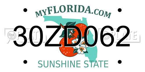 30ZD062 Florida License Plate