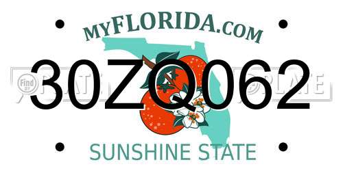 30ZQ062 Florida License Plate