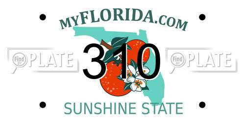 310 Florida License Plate
