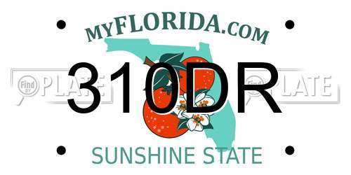 310DR Florida License Plate