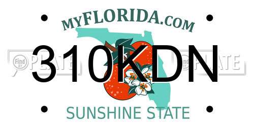 310KDN Florida License Plate
