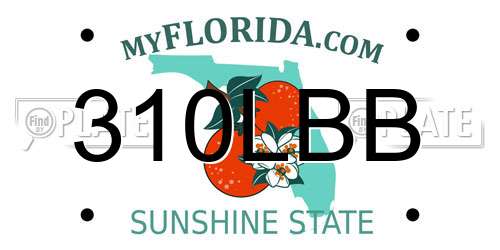 310LBB Florida License Plate