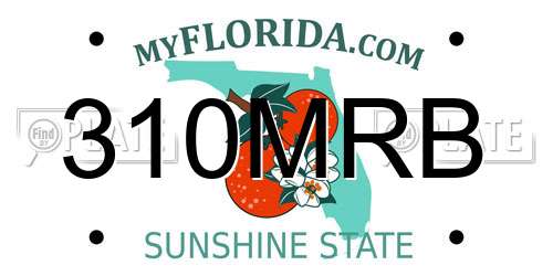 310MRB Florida License Plate