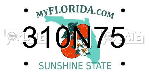 310N75 Florida License Plate