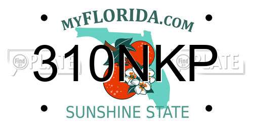 310NKP Florida License Plate