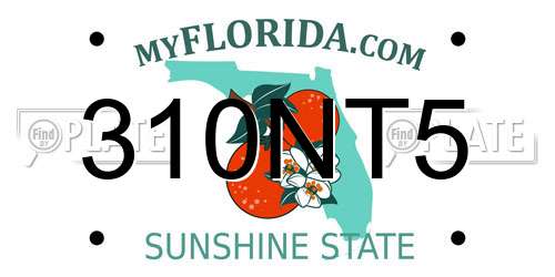 310NT5 Florida License Plate