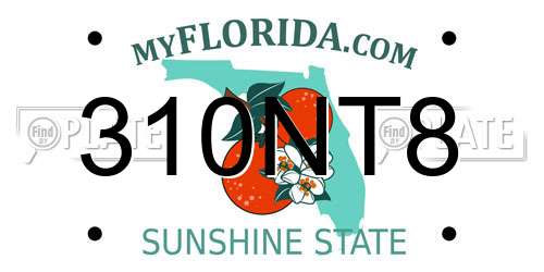310NT8 Florida License Plate