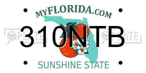 310NTB Florida License Plate
