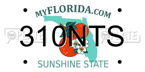 310NTS Florida License Plate
