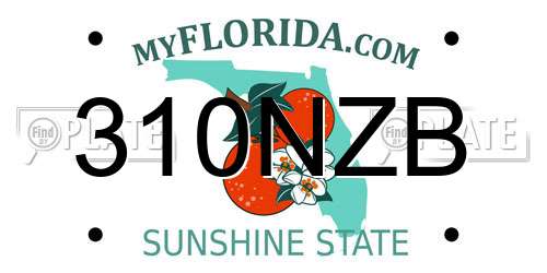 310NZB Florida License Plate