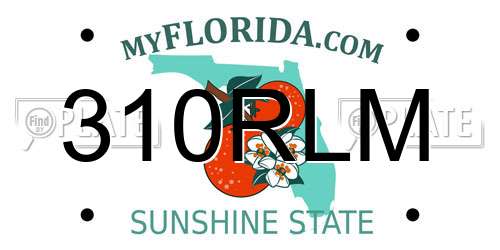 310RLM Florida License Plate