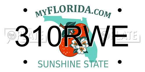 310RWE Florida License Plate
