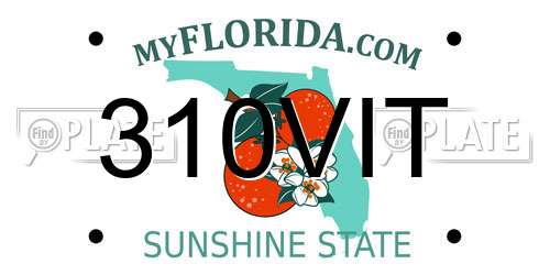 310VIT Florida License Plate