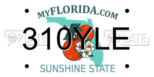 310YLE Florida License Plate