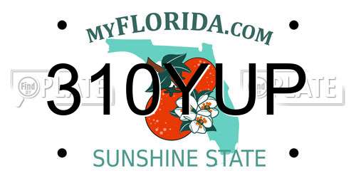 310YUP Florida License Plate