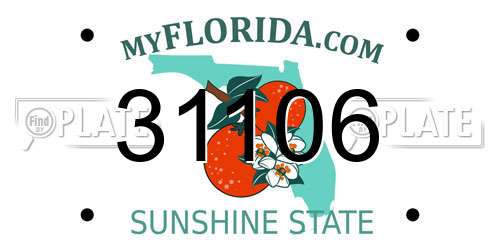 31106 Florida License Plate