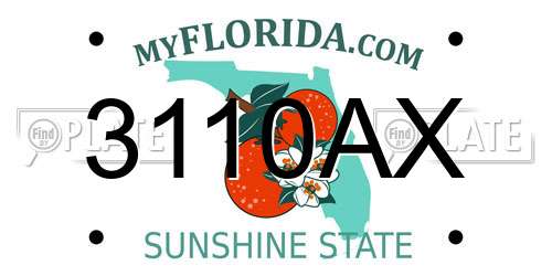 3110AX Florida License Plate