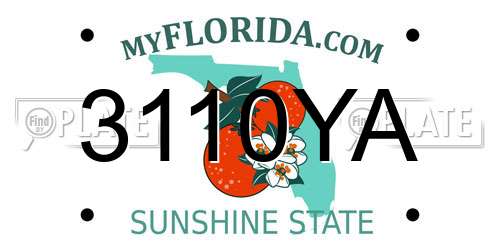 3110YA Florida License Plate