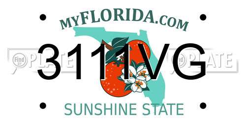 3111VG Florida License Plate