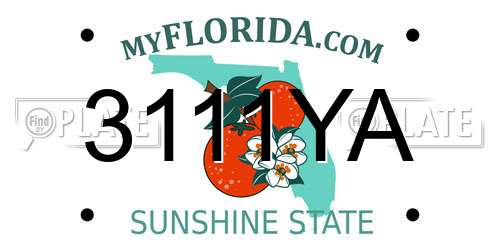 3111YA Florida License Plate