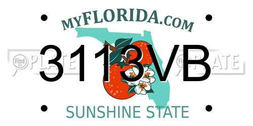 3113VB Florida License Plate