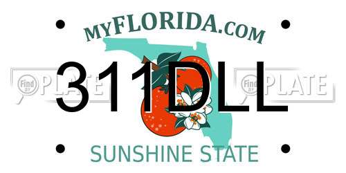 311DLL Florida License Plate