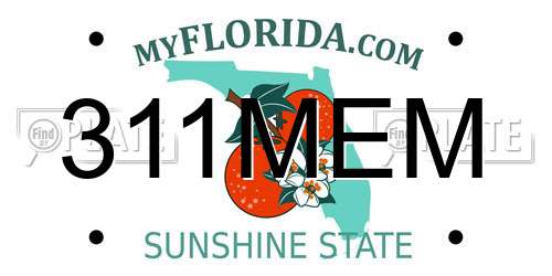 311MEM Florida License Plate