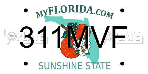 311MVF Florida License Plate