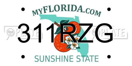 311RZG Florida License Plate