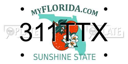 311TTX Florida License Plate