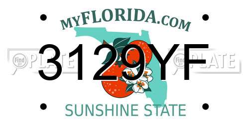 3129YF Florida License Plate
