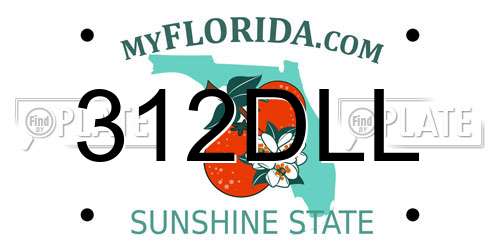 312DLL Florida License Plate