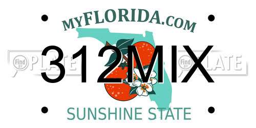 312MIX Florida License Plate