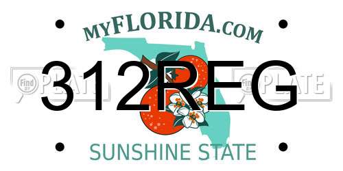 312REG Florida License Plate