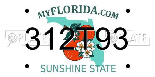 312T93 Florida License Plate